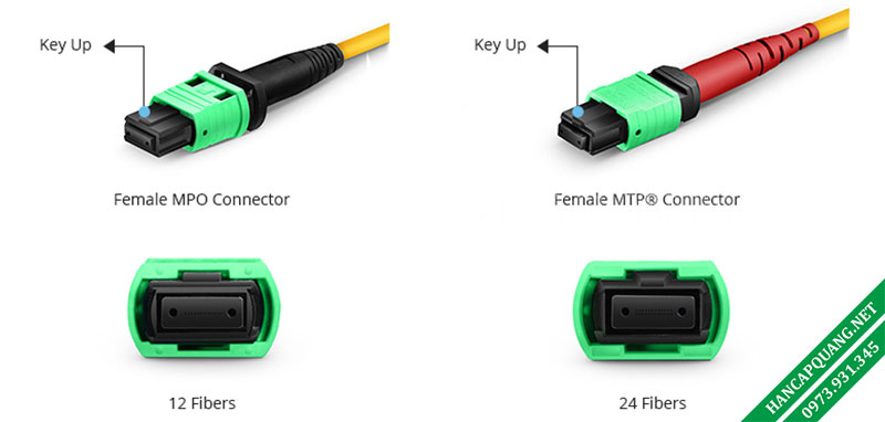 Hình 2: Đầu nối MPO cái và Đầu kết nối quang MTP cái