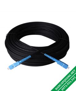 Cáp quang 1FO bấm sẵn 2 đầu SC/UPC dài 100M